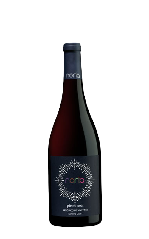 NORIA Pinot Noir Russian River Valley 2021 — MTC Sake